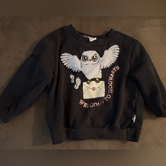 H&M Harry Potter sweater. Size:2T - Picture 1 of 4